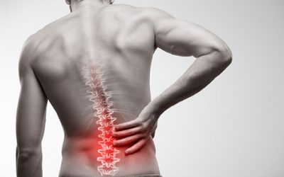 Will strengthening my glutes protect me from lower back pain?