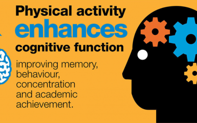 The value of sport and recreation