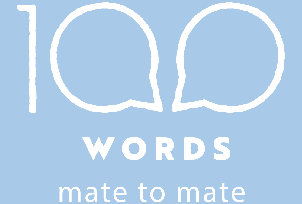 100 Words Mate to Mate & Vida Partnership