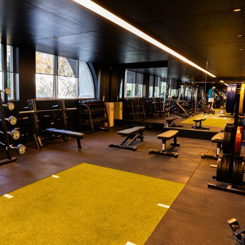 Athlete Fitness Training Bulleen